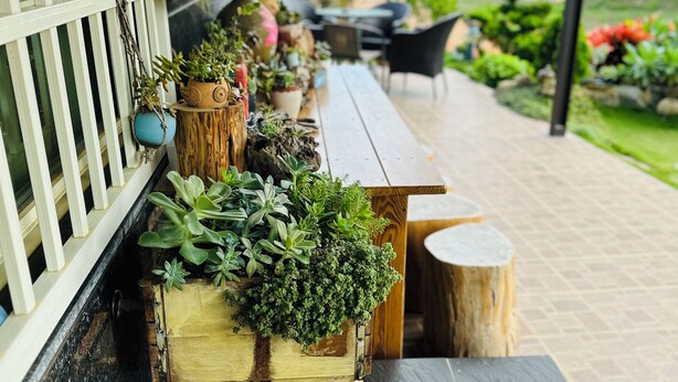 Un banco de madera con plantas en macetas y una valla blanca.