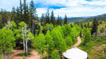Une yourte, accessible par un sentier de terre, entourée d’une forêt composée de différentes espèces d’arbres.