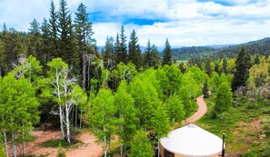 Una yurta con un sendero de tierra que la lleva a ella, rodeada por un bosque con diversos árboles.