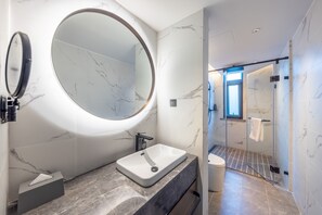 Ducha, cabezal de ducha con hidromasaje, secador de pelo y albornoces