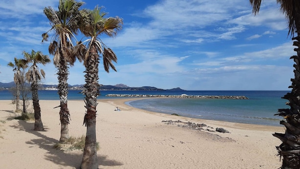 A sandy beach with palm trees and a clear blue sky.
