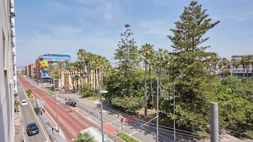 Vista desde la propiedad