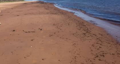 Charming Oceanview Cottage in Stanhope to relax, beach, golf, hike, bike