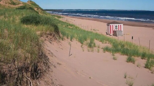 Una playa con dunas, una estación de salvavidas y el océano al fondo.