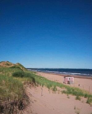 Plage à proximité, chaises longues, serviettes de plage