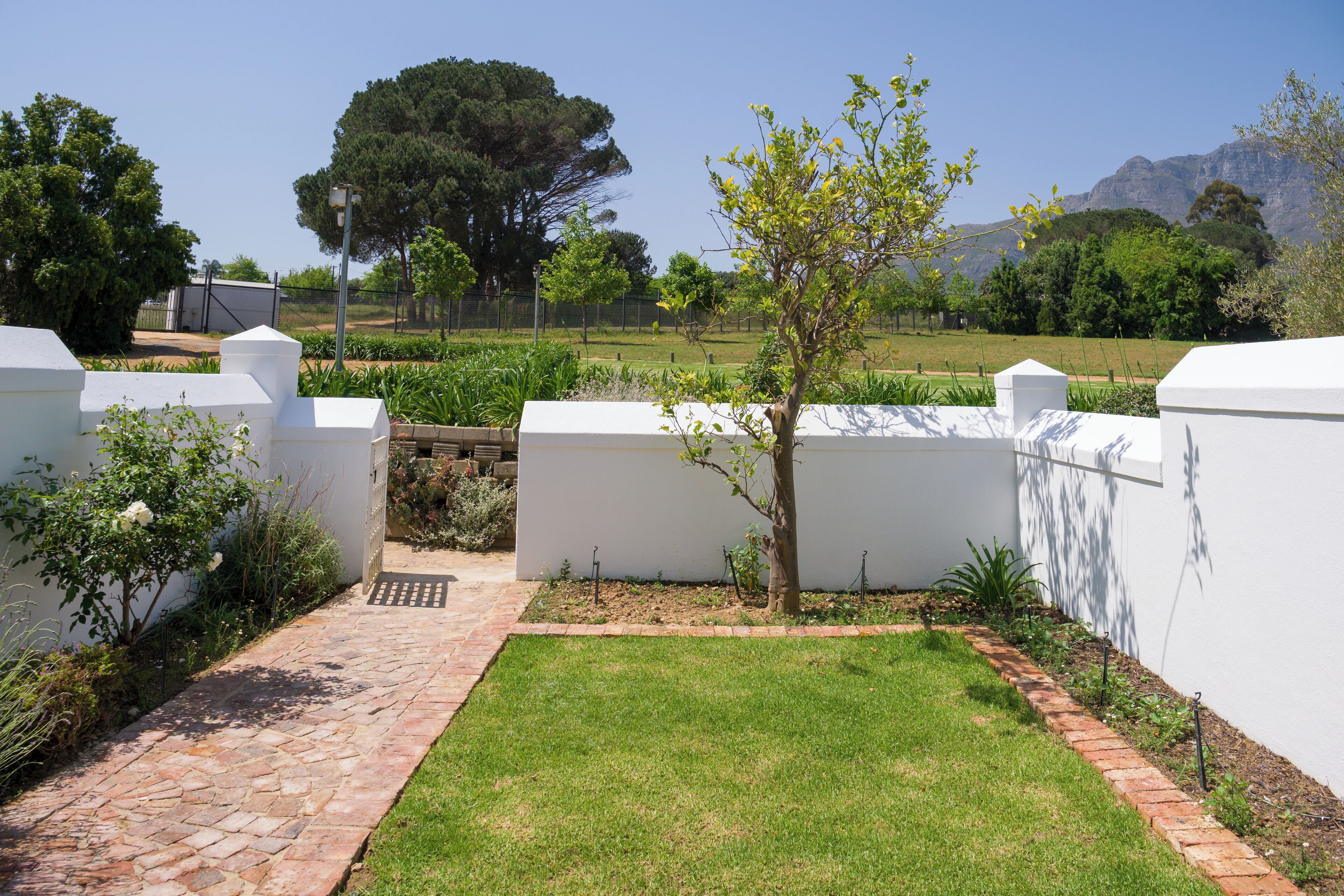 A well-maintained garden with a paved pathway, a small lawn, and a white wall with a tree in the center.
