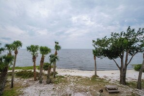 A beach with palm trees and a bench.