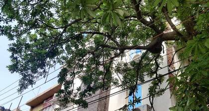 Hotel Green Arrow Rohini