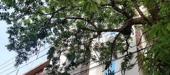 Hotel Green Arrow Rohini