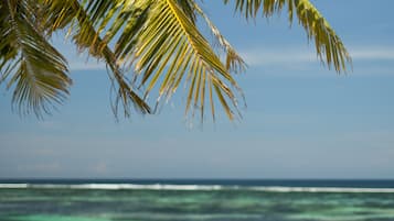 Sun-loungers, beach towels, beach massages, fishing