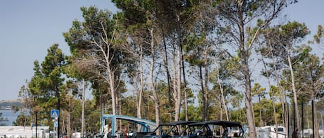 A row of off-road vehicles parked along a road with a clear view of the sea and trees in the background.