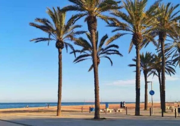 Toallas de playa 