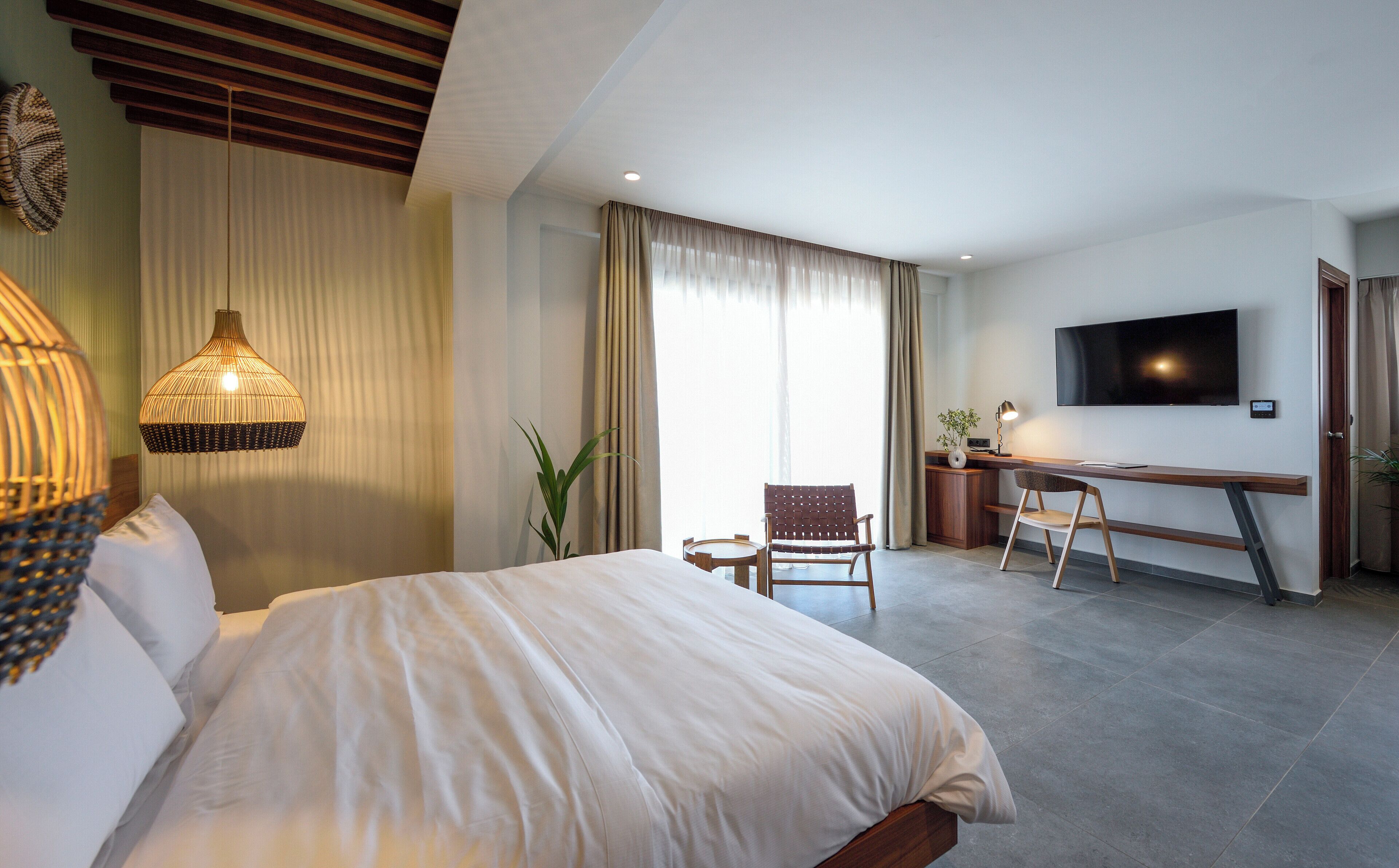 Habitación de hotel con una cama grande, un escritorio con silla, televisor y una planta.