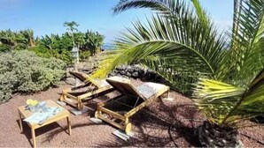 A garden area with lounge chairs and a table, surrounded by various plants and a palm tree. - Finca Las Barandas, Vista al Mar (Icod de los Vinos)