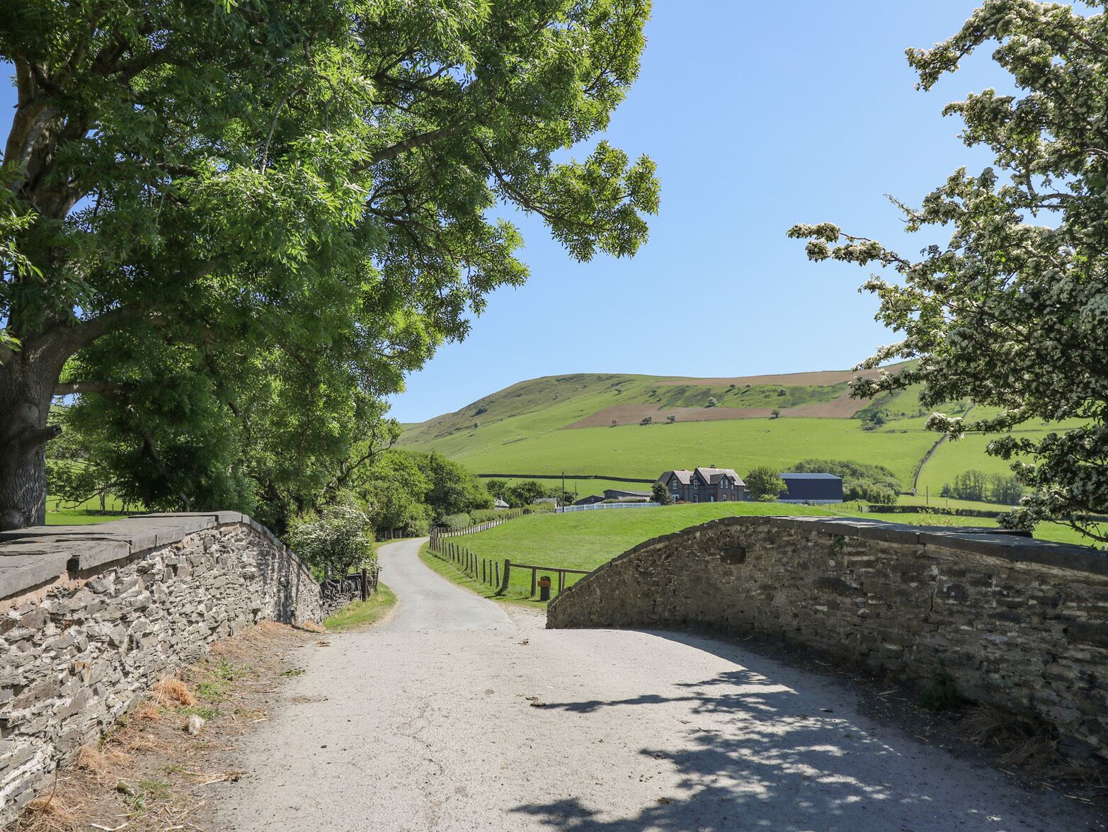 Una strada di campagna conduce a un ponte di pietra, immersa nel verde con una collina sullo sfondo.