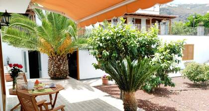 Finca Las Barandas, The Studio