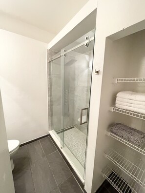 Shower, hair dryer, bidet, towels