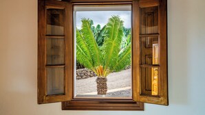 A window with a wooden frame and open shutters, revealing a plant with large green leaves and a central trunk.