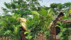 Exterior - The Vintage Farm (Trimbak)