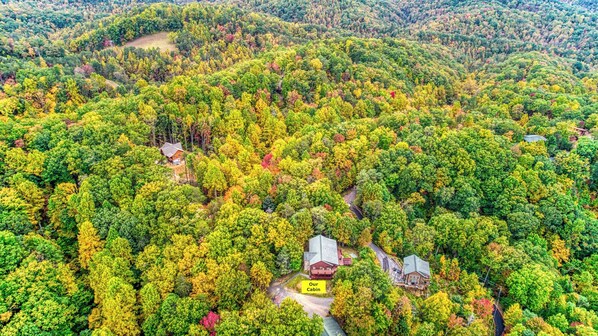 Vista aérea de una cabaña rodeada de un bosque denso.