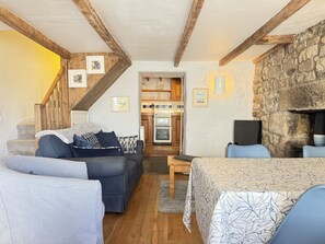TV connectée, cheminée, livres