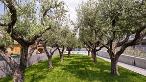 Un espace extérieur bien entretenu, doté d’une piscine, entouré d’arbres et d’une pelouse verdoyante.