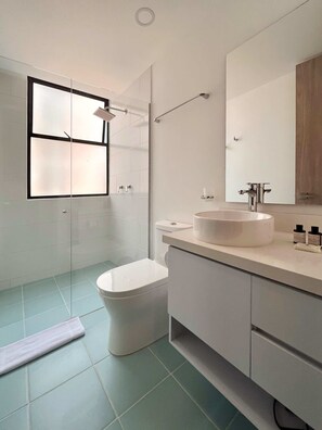 Ducha, secador de pelo, toallas