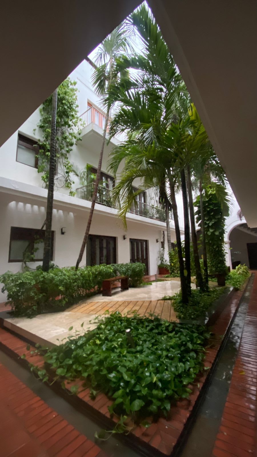 A courtyard with a white building, palm trees, and a brick pathway.