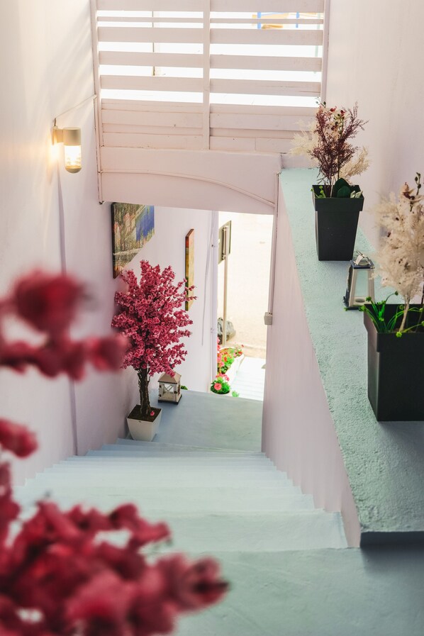 Una escalera con paredes blancas y un suelo azul claro que lleva a una puerta. Hay plantas en macetas en los escalones y una lámpara fijada a la pared.