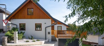 Vila Vrba, Žirovnica