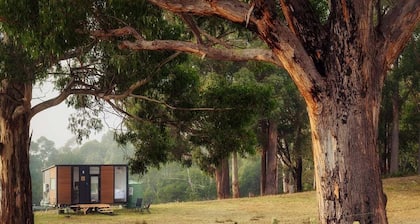 Pine Edge Heights by Tiny Away