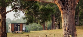 Pine Edge Heights by Tiny Away