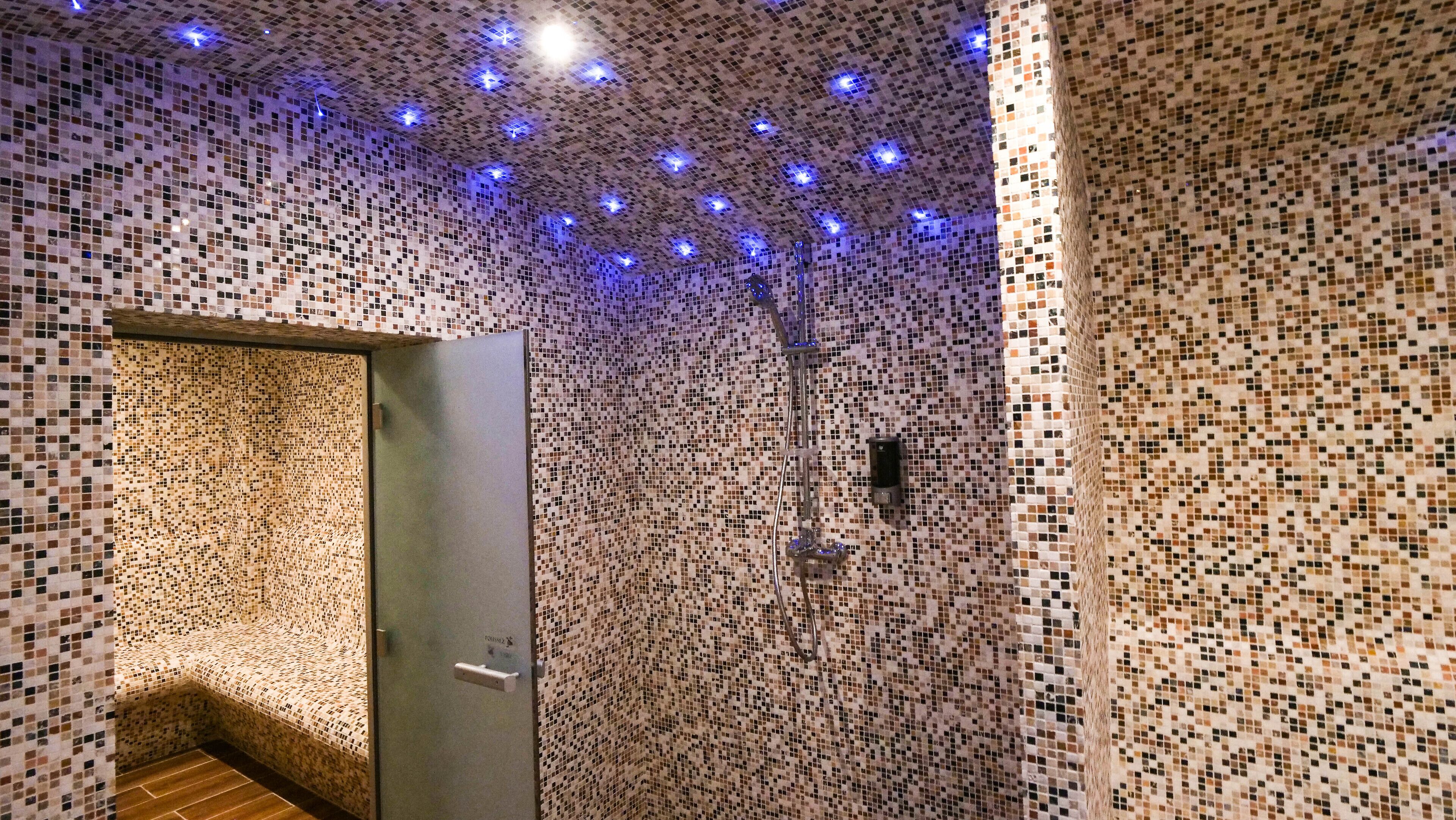 サウナ、スチームサウナ、温泉 / 鉱泉