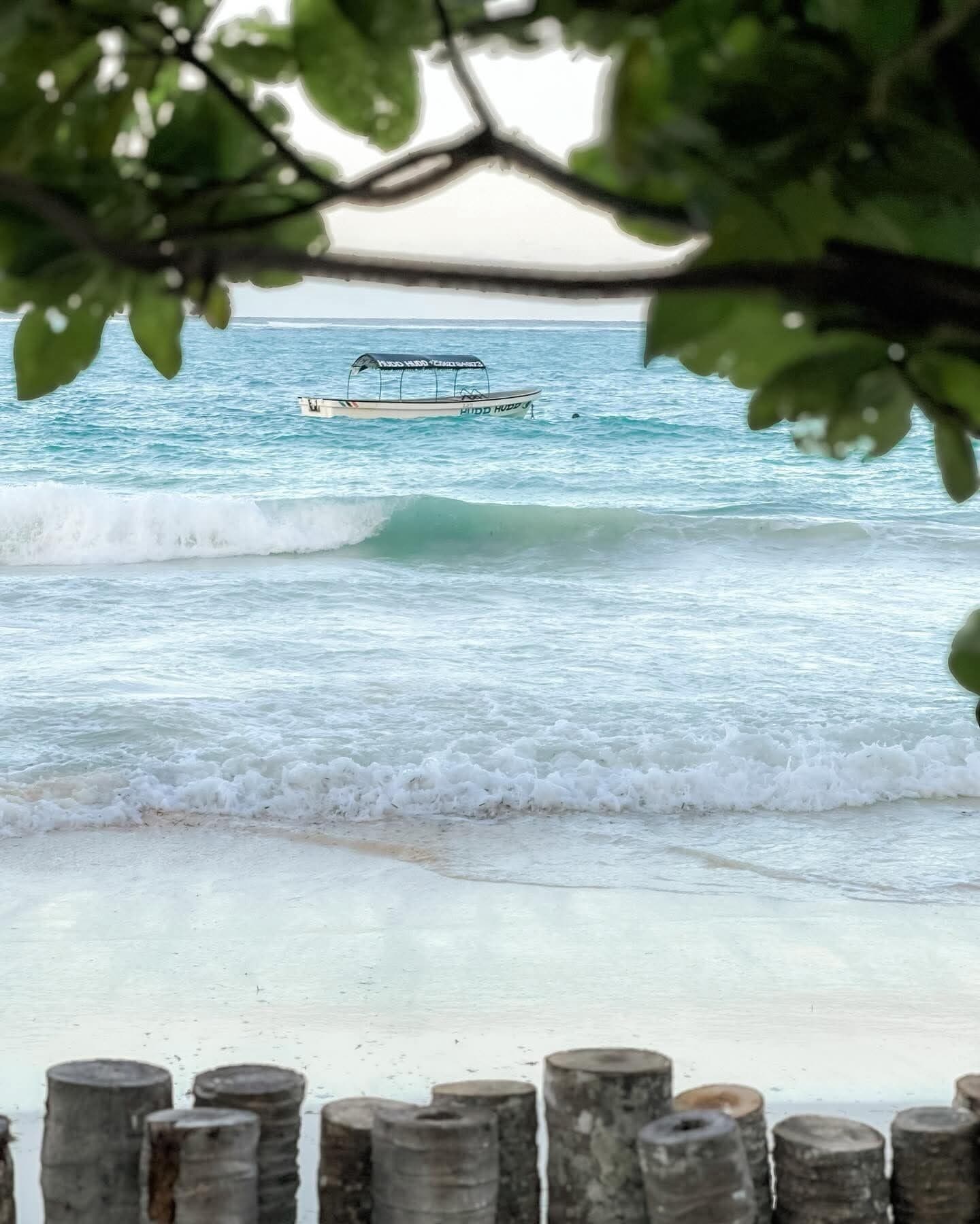 Une plage avec des vagues, un bateau et des poteaux en bois.