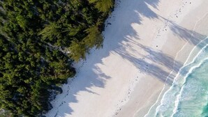 An aerial view of a beach with clear turquoise waters and white sand, surrounded by dense green foliage. - Marafiki Beach Hotel & Spa (Matemwe)