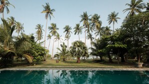 Una piscina rodeada de palmeras y follaje.