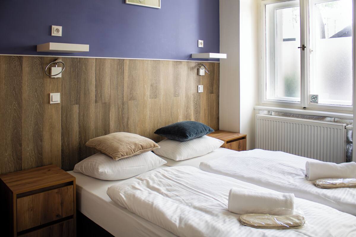 A bedroom with two beds, wooden headboard, bedside tables, and a window with frosted glass.