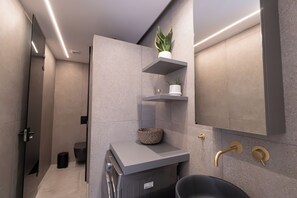 Shower, hydromassage showerhead, designer toiletries, hair dryer