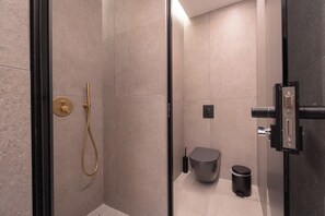 Shower, hydromassage showerhead, designer toiletries, hair dryer