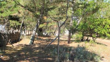 Àrea exterior de l'allotjament