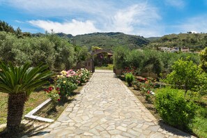 Área da propriedade