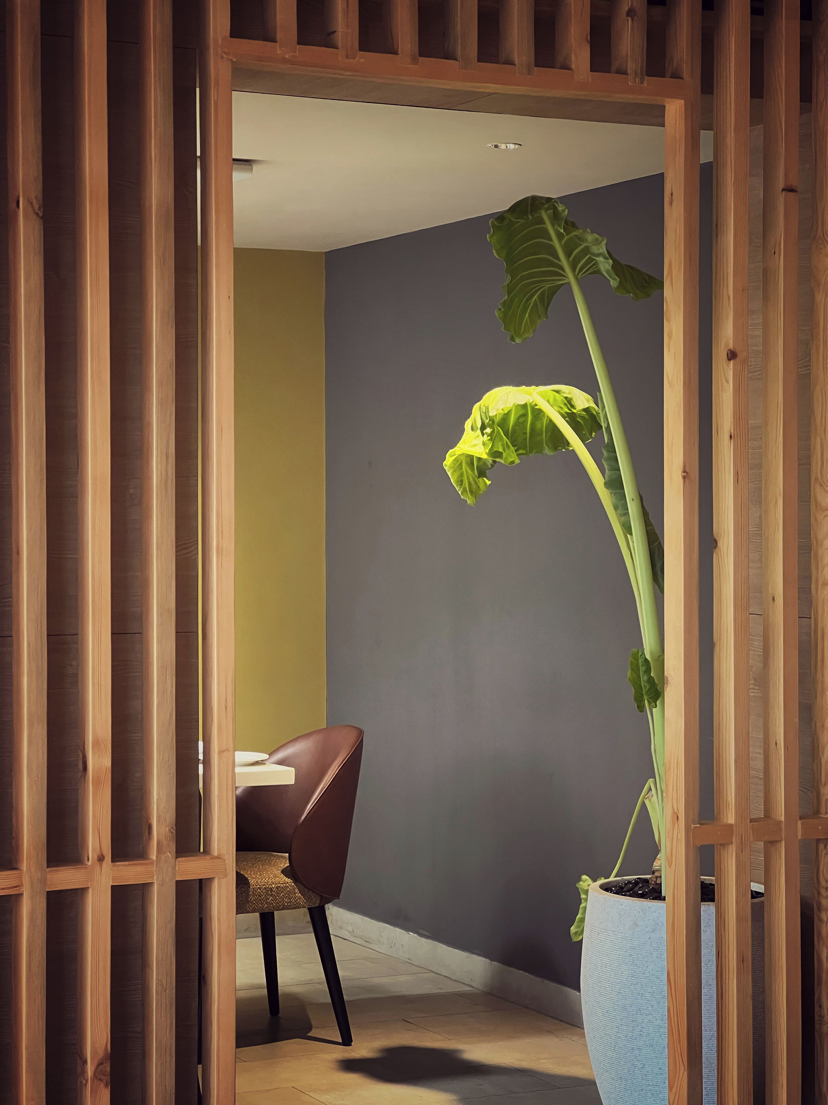 A room with a wooden partition, a potted plant, a brown chair, and a table.