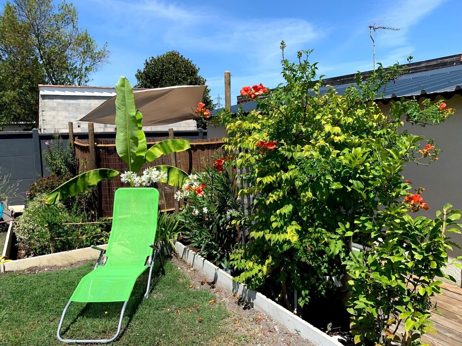 A garden with a green chair, various plants, and a wooden fence.