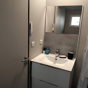 Shower, hair dryer, toilet paper