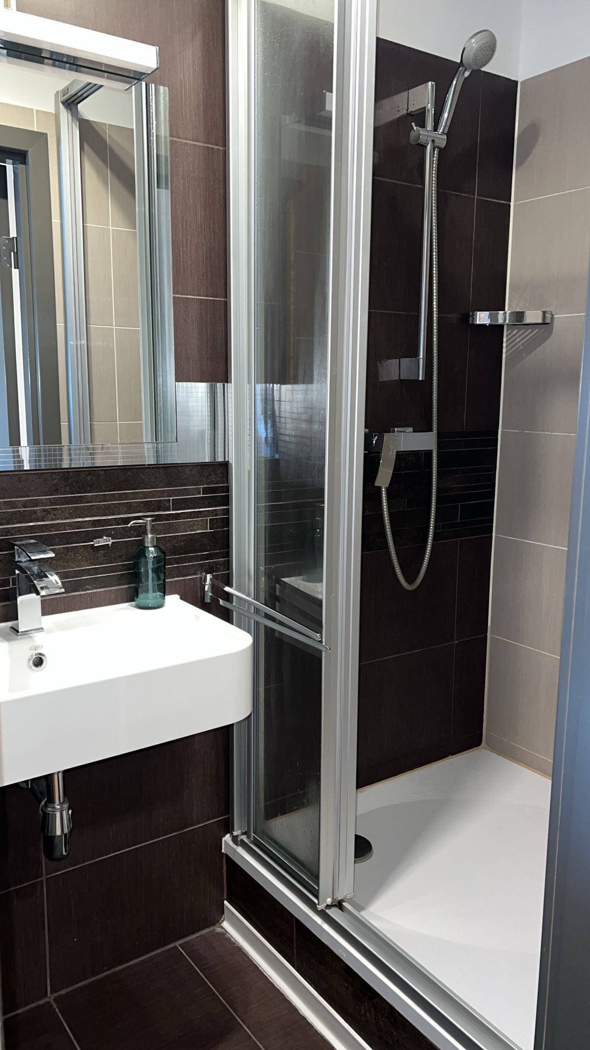 Une salle de bain moderne avec une douche à parois de verre, un lavabo blanc doté d’un distributeur de savon et un miroir au-dessus du lavabo.