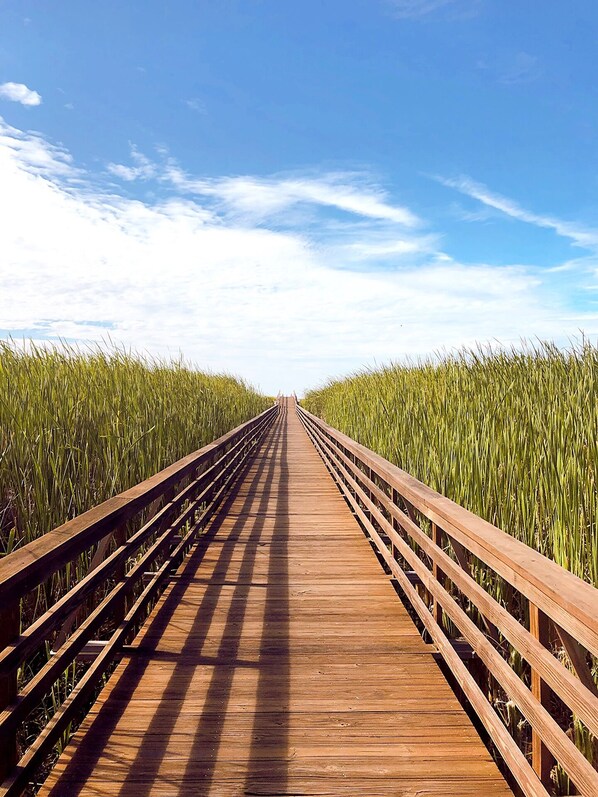 A wooden boardwalk leading through tall grass fields under a clear sky.
