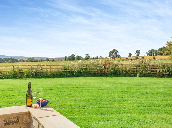 A grassy field with a wooden fence and a bottle of wine on a ledge.