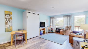 TV, lareira, DVD player