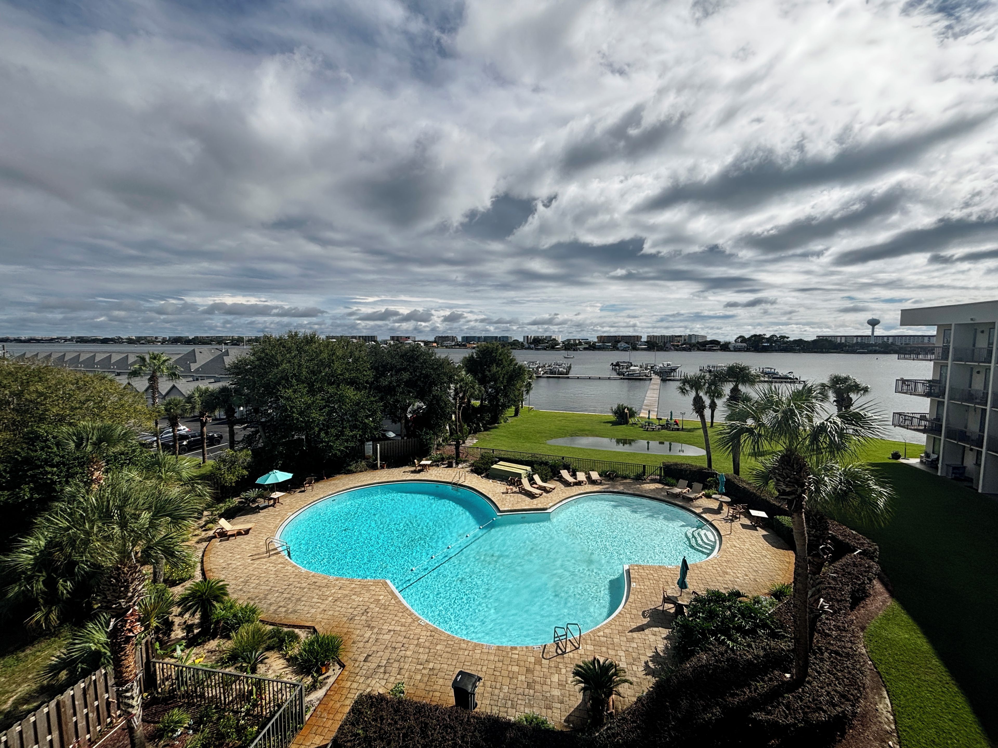 A swimming pool with a curved design, surrounded by palm trees and a view of a marina.
