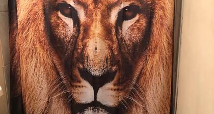 The Lyons Den - Great work place with high speed internet near downtown.